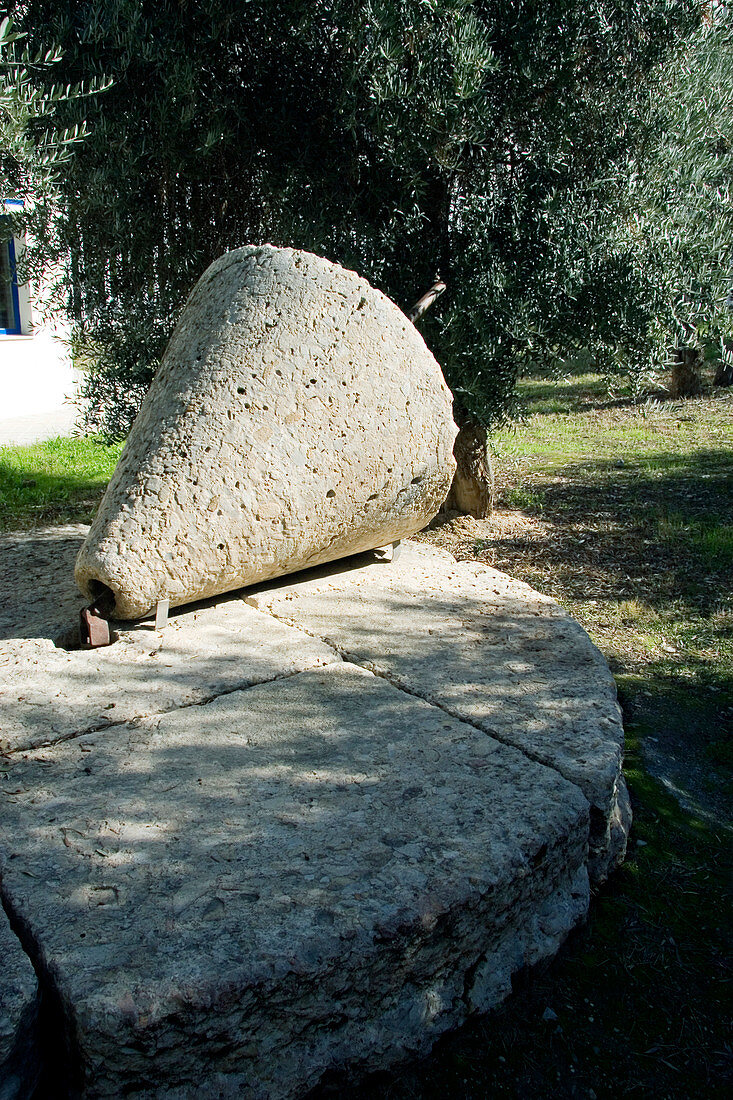 Olive millstone