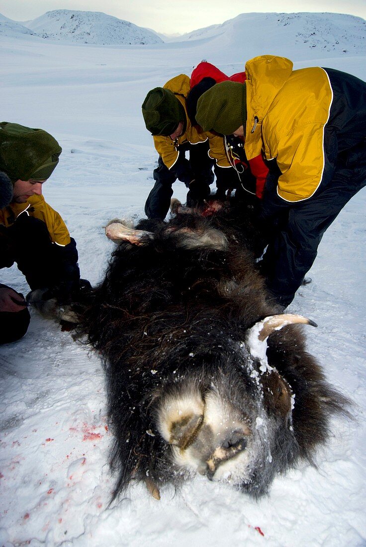 Military arctic survival training