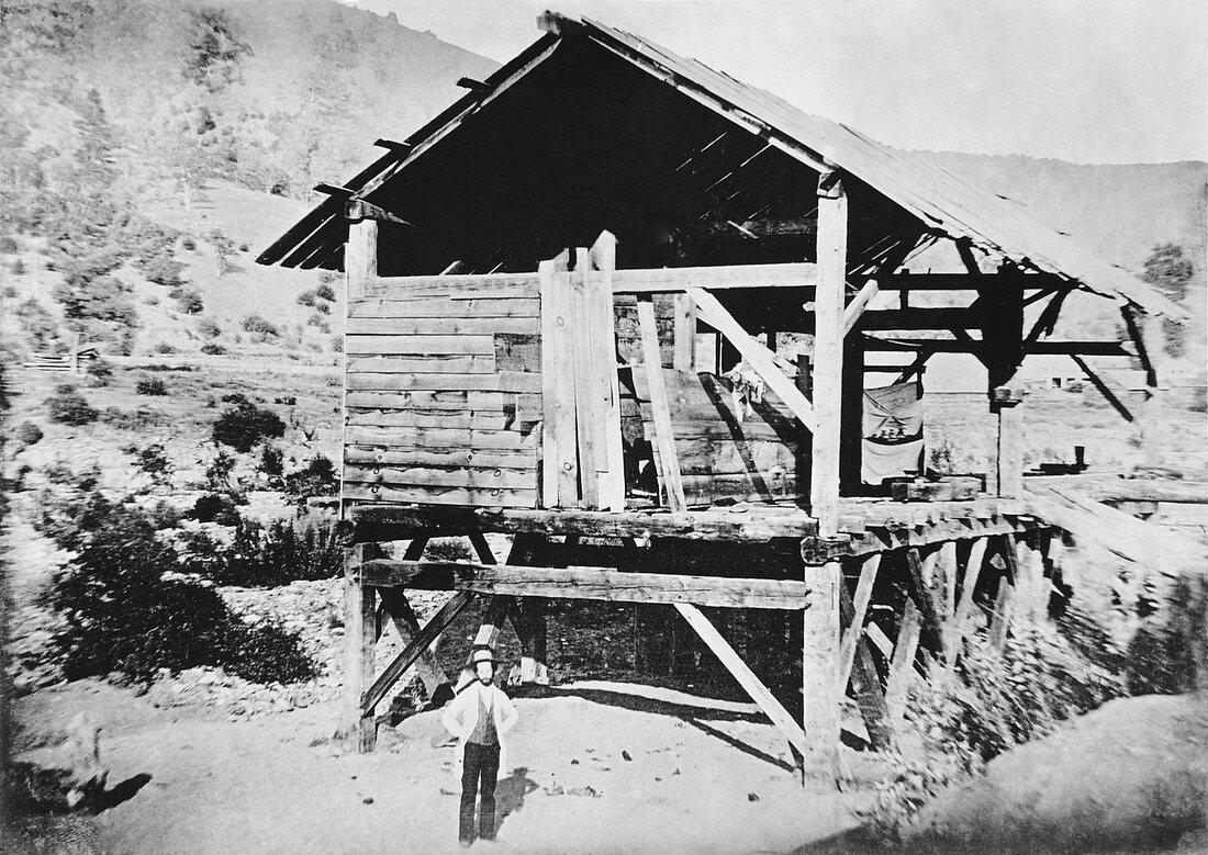 California Gold Rush,19th century