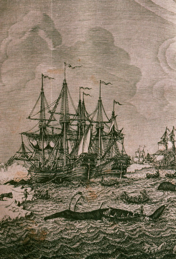 Illustration of whaling ships in Arctic,1720