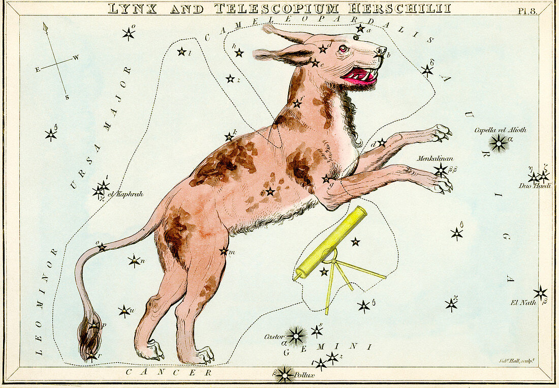 Lynx constellation