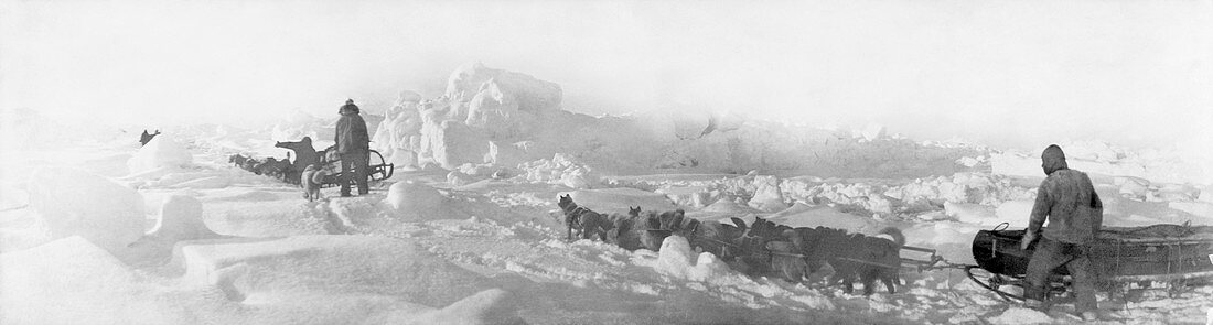 1903-5 Ziegler Arctic expedition