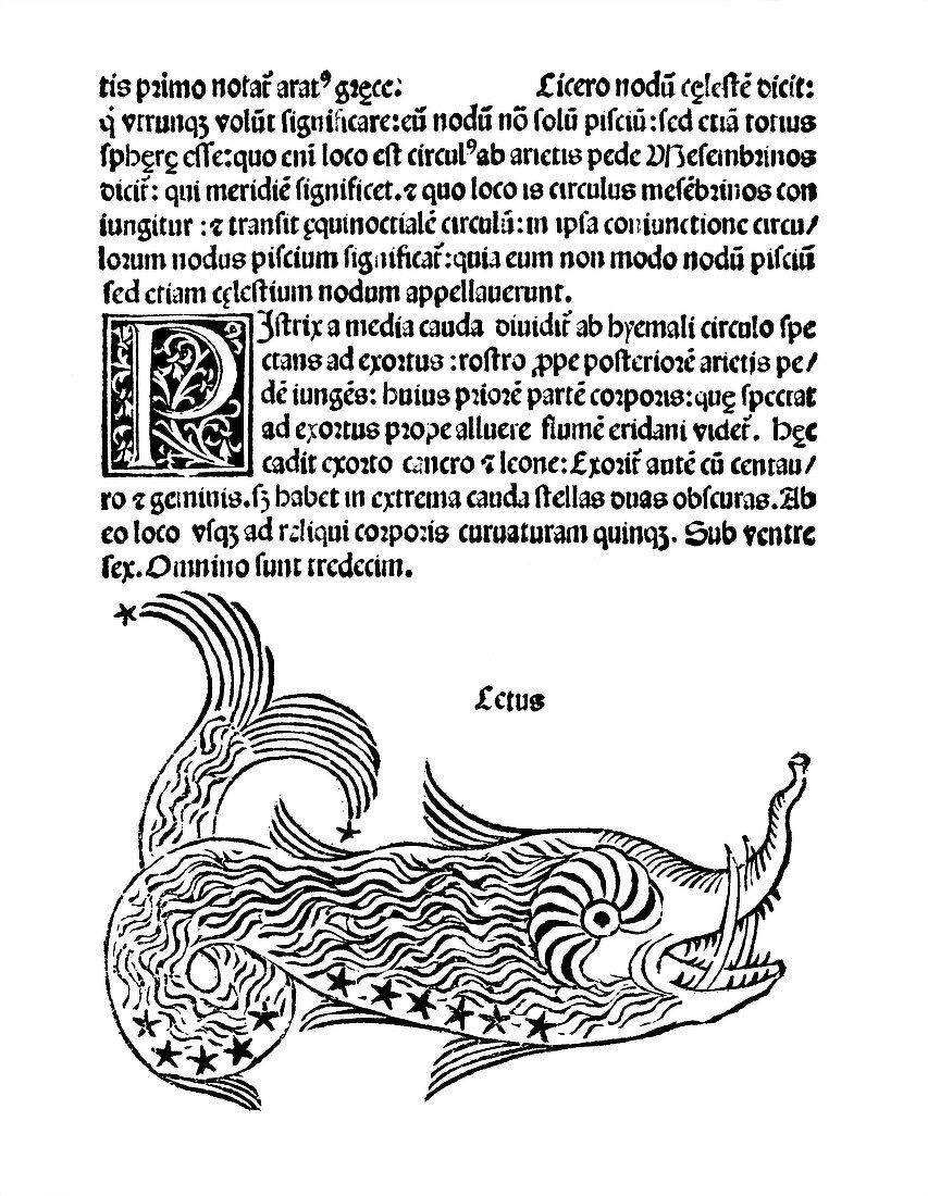 Cetus constellation,1482