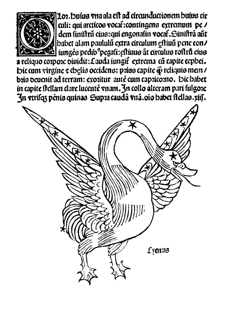 Cygnus constellation,1482