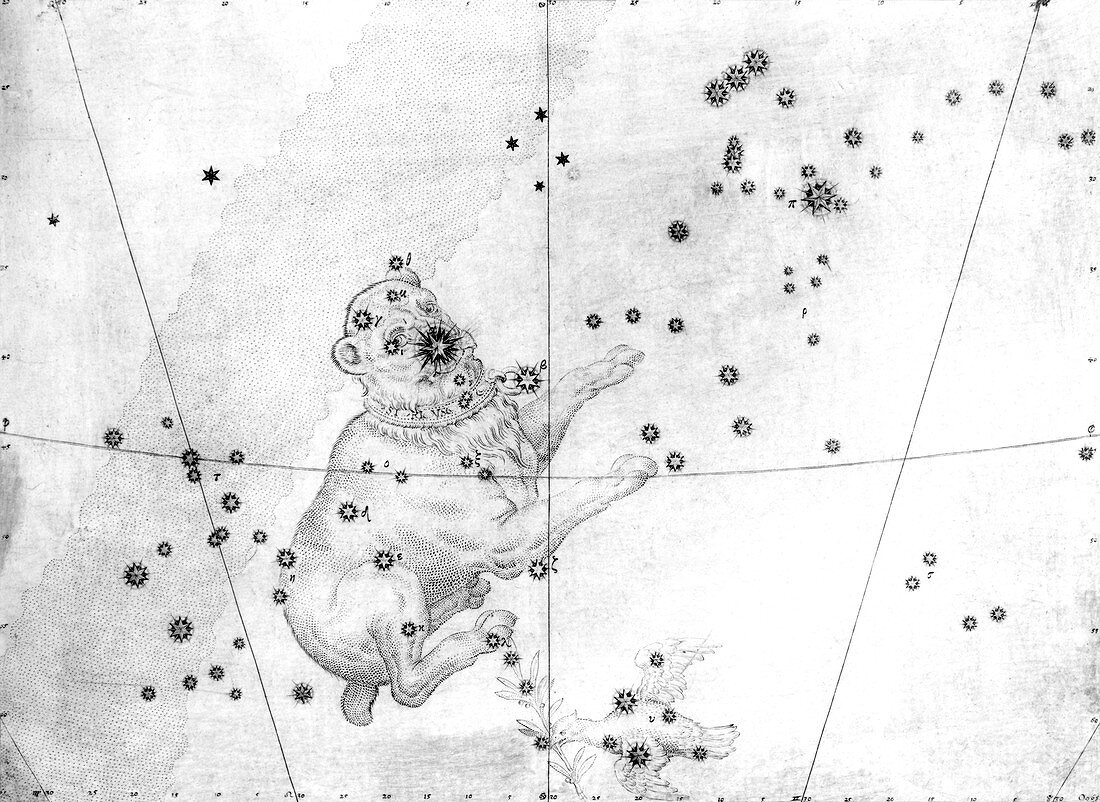 Canis Major constellation,1603
