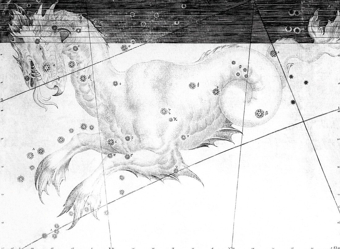 Cetus constellation,1603