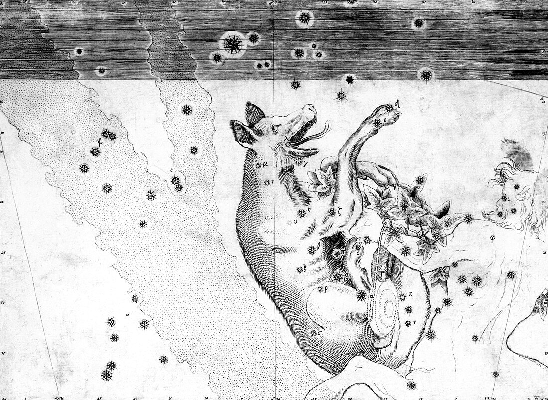 Lupus constellation,1603