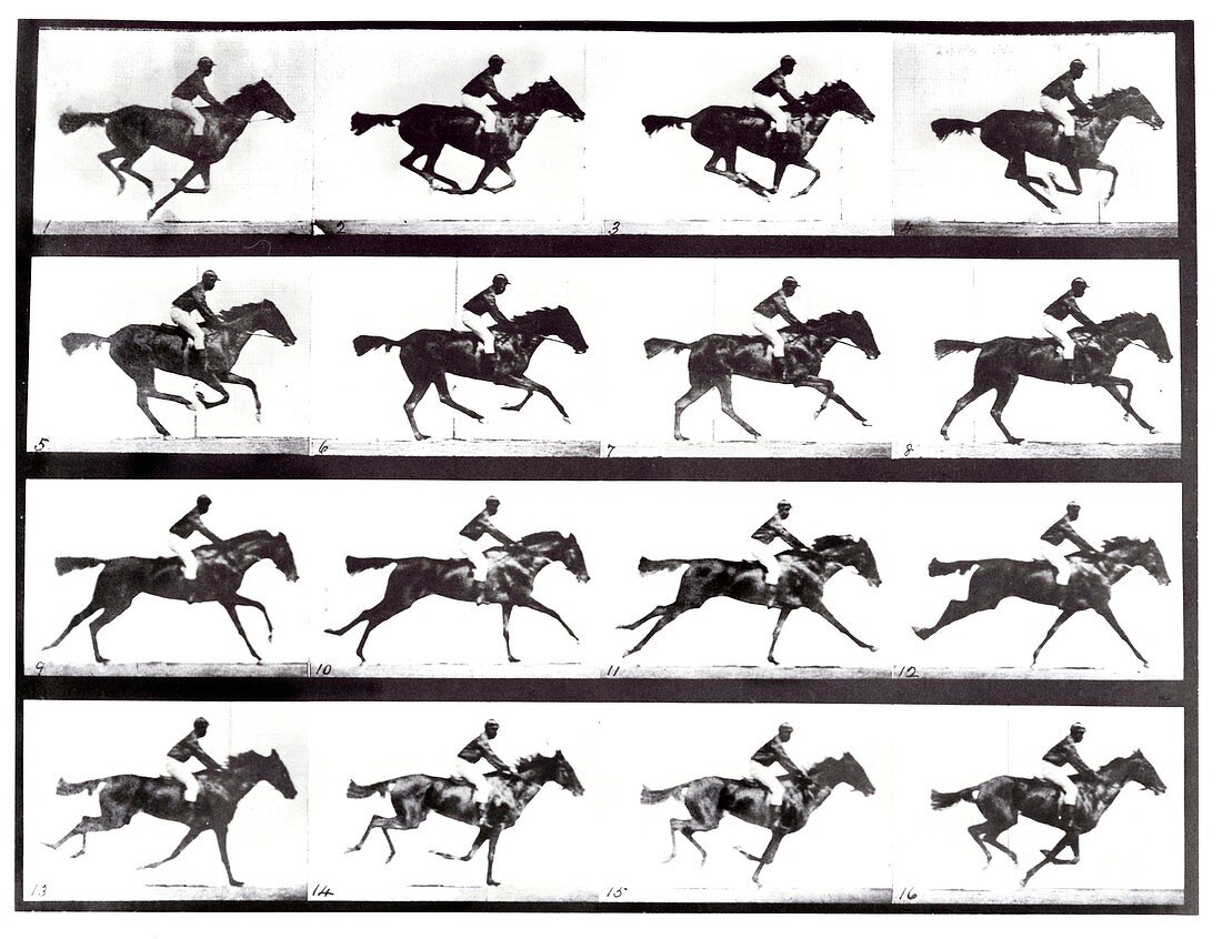 High-speed sequence of a galloping horse and rider