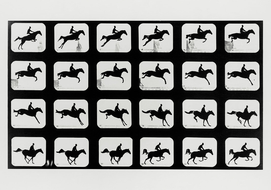 High-speed sequence of a silhouetted jumping horse