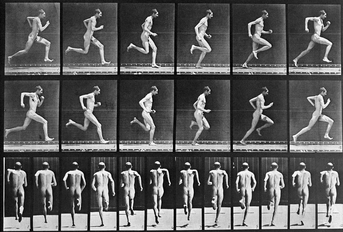 Muybridge photo sequence of a running man