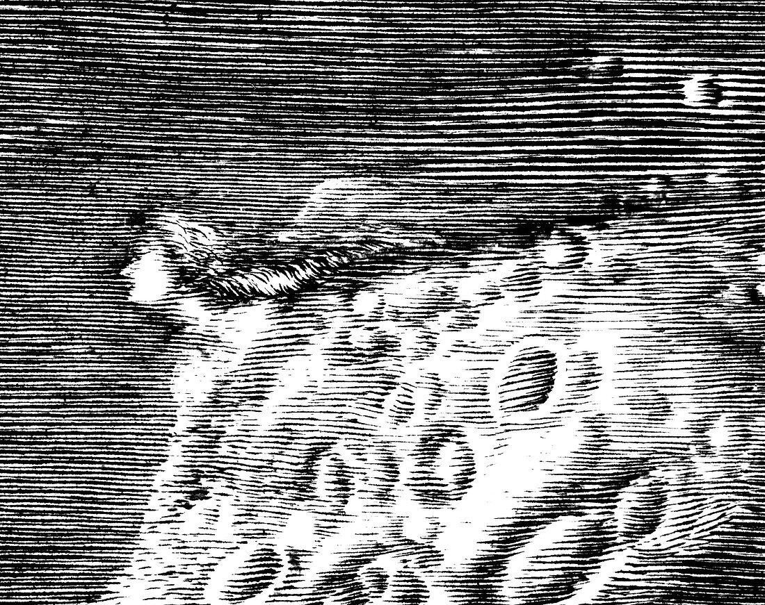 The Maiden in the Moon,Cassini,1679