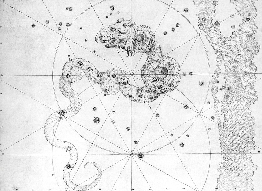 Draco constellation,1603