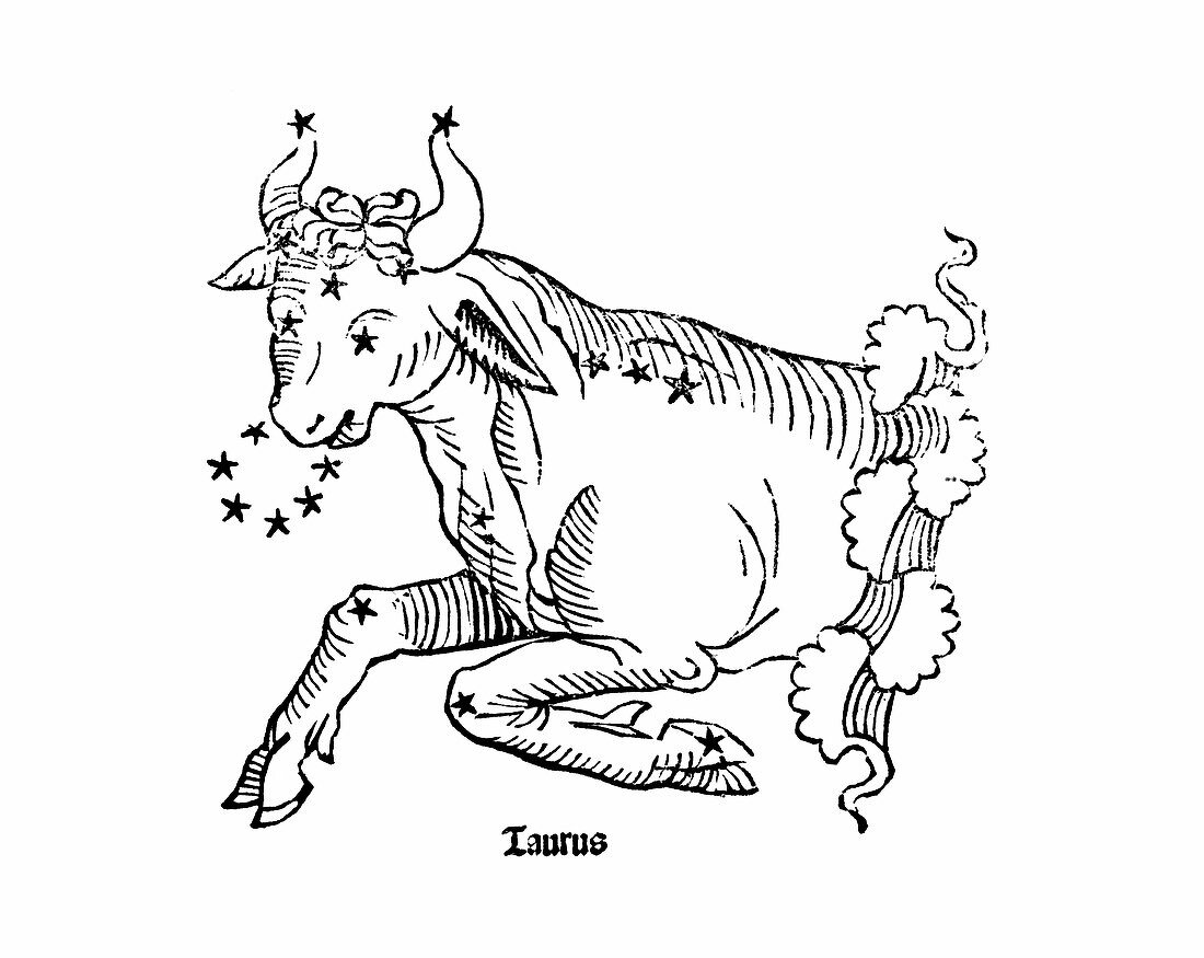Taurus constellation,1482
