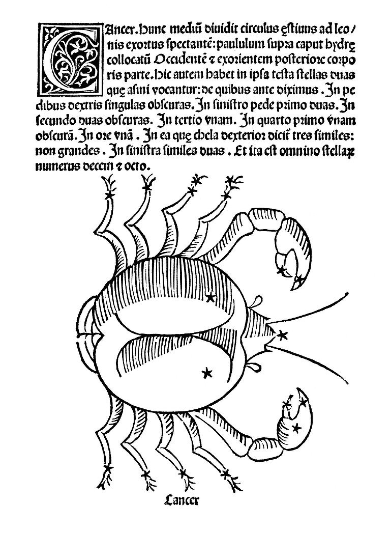 Cancer constellation,1482