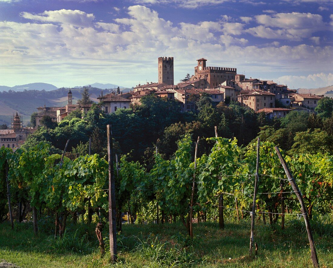 Reben am historischen Castell'Arquato,Emilia Romagna,Italien