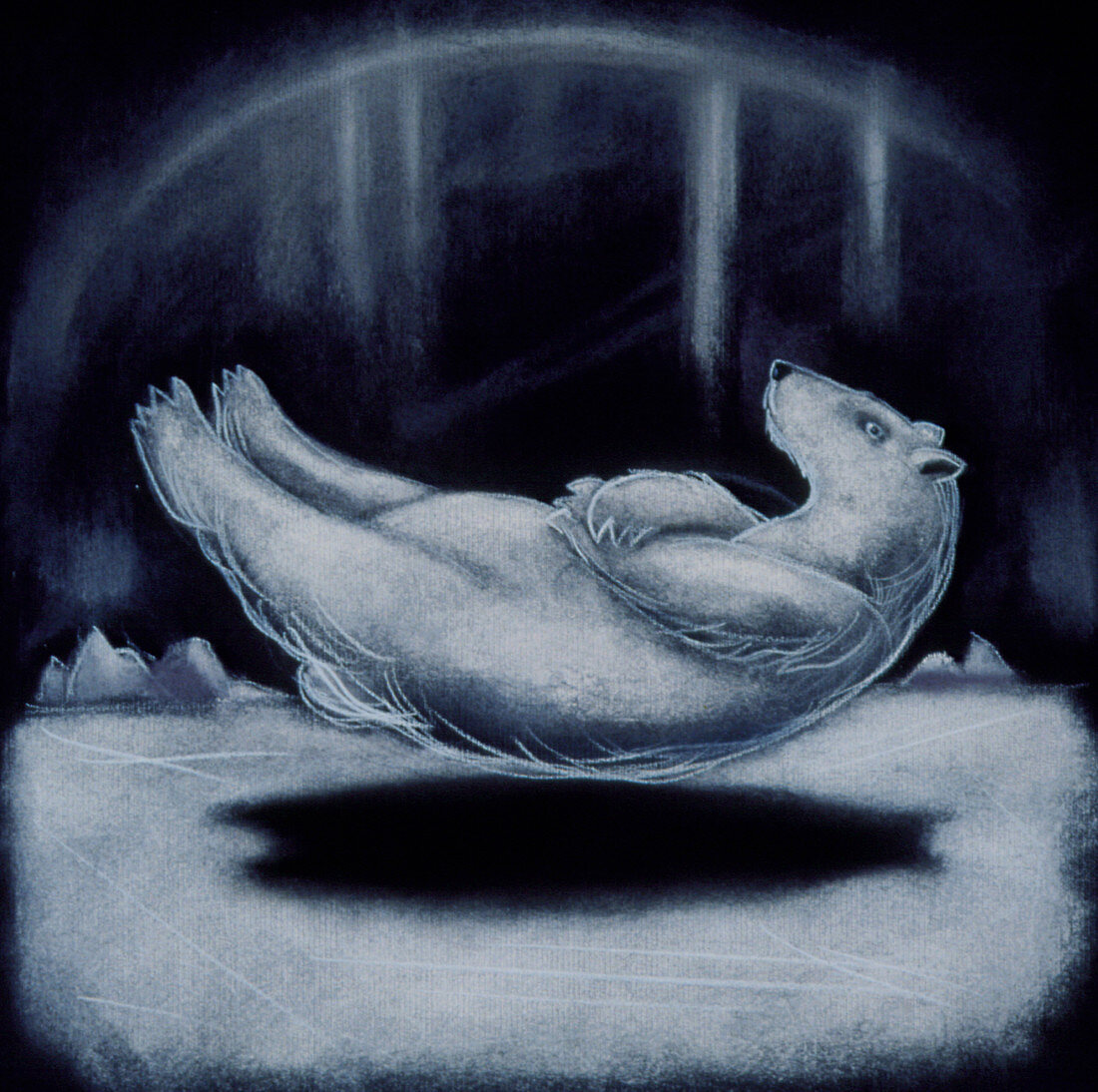 Abstract illustration of a polar bear hibernating