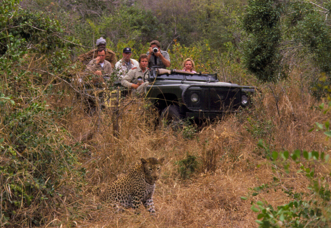 Tourists and leopard
