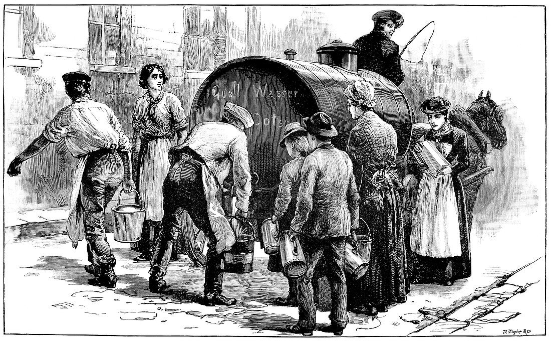 Cholera epidemic,19th century
