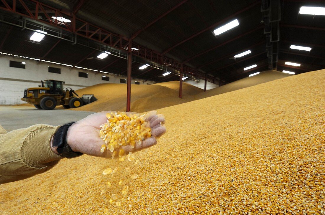 Grain store