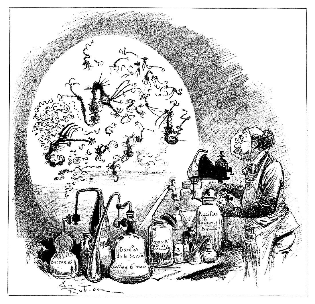 Microbiology caricature,19th century
