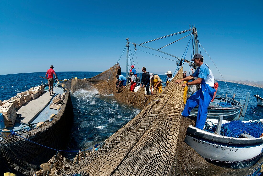 Fish being caught