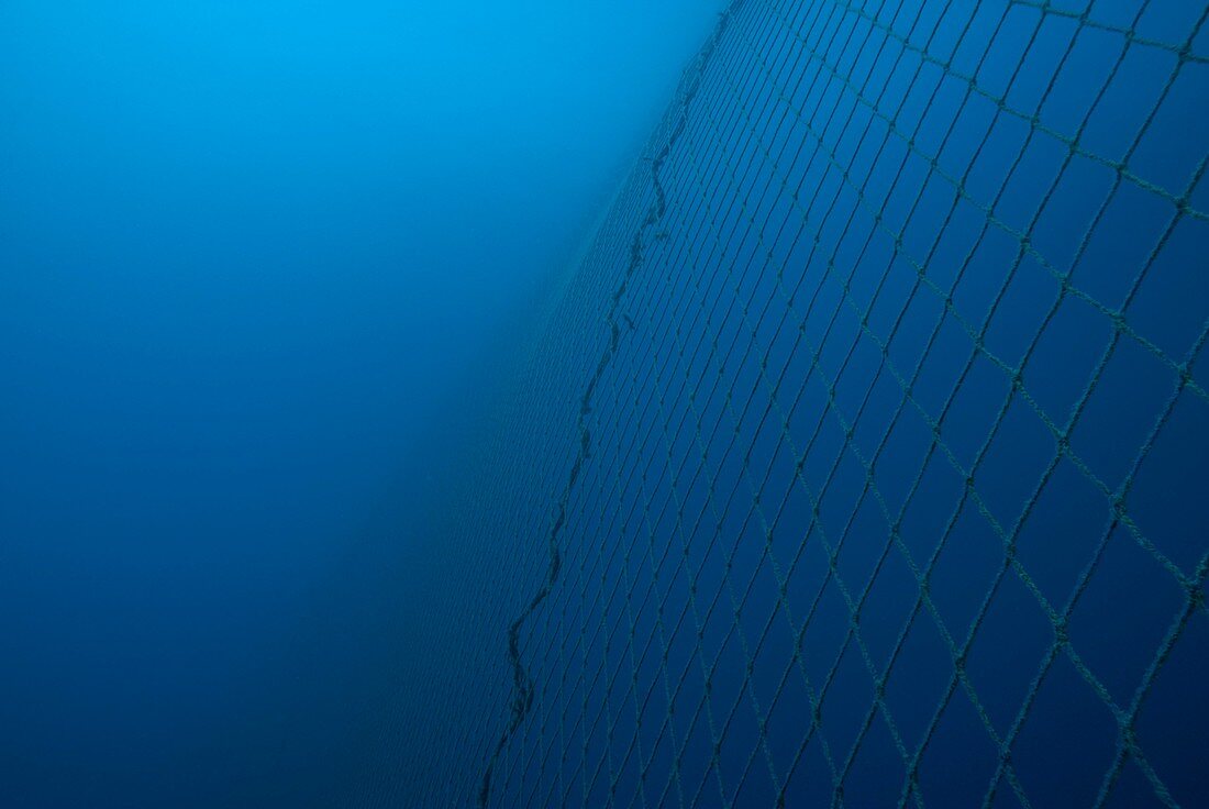 Fishing net underwater