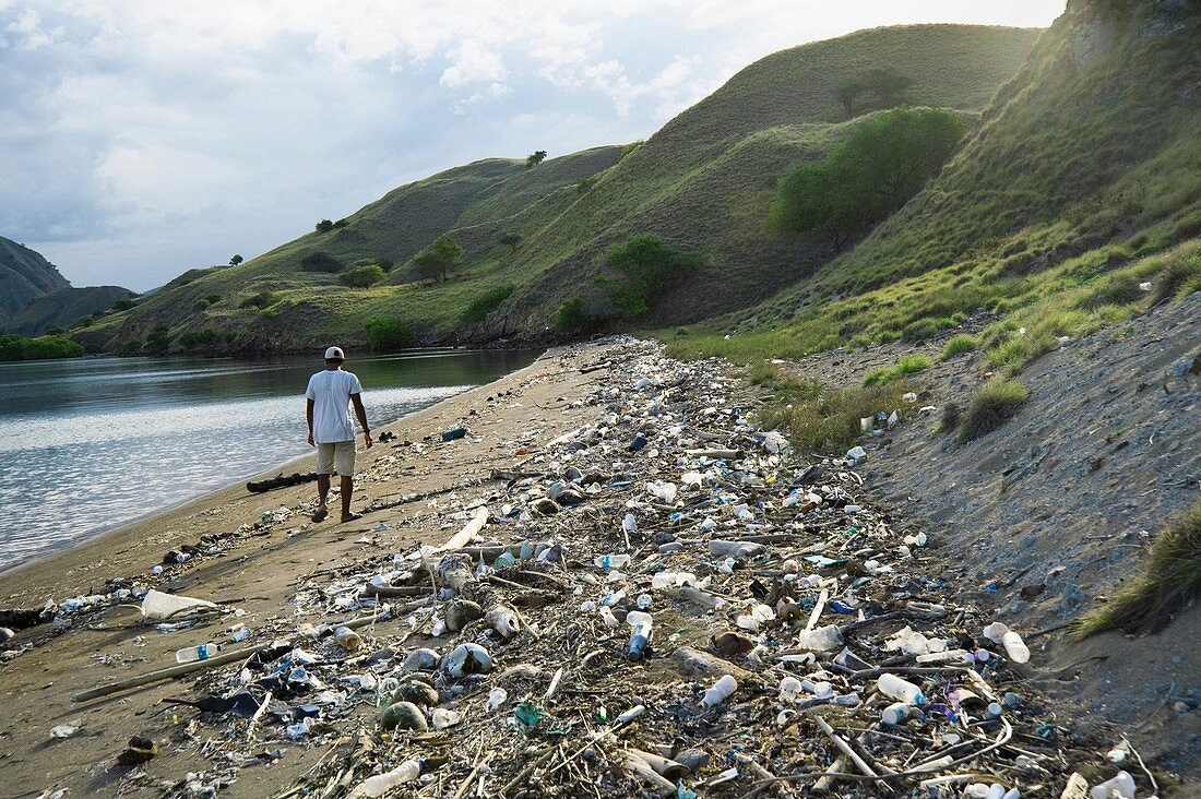Polluted beach,Komodo Island,Indonesia