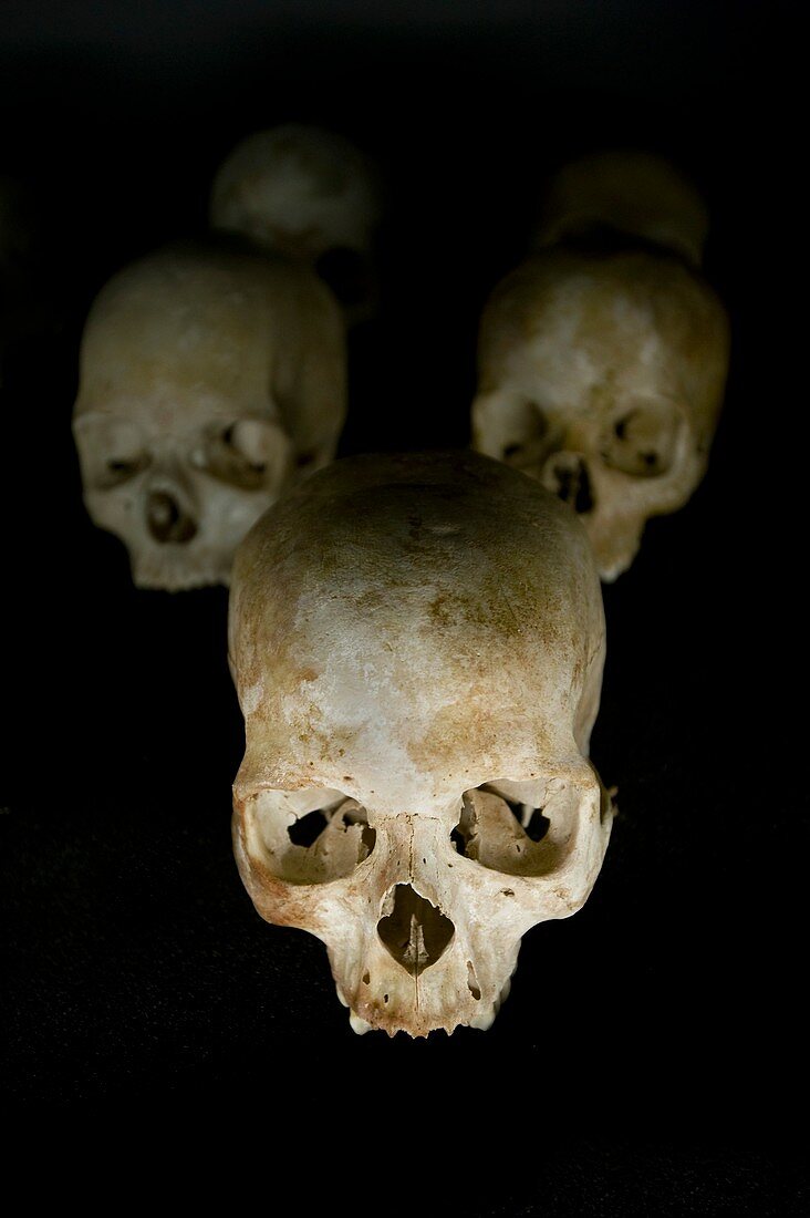 Skulls of Rwanda genocide victims