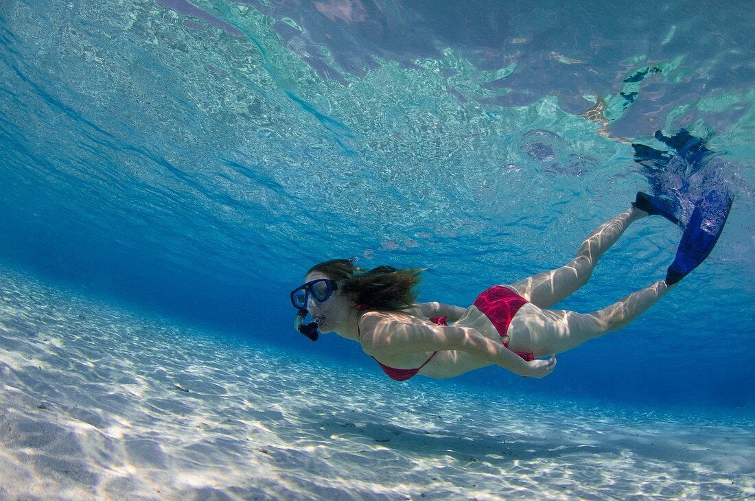 Snorkeller in the Maldives