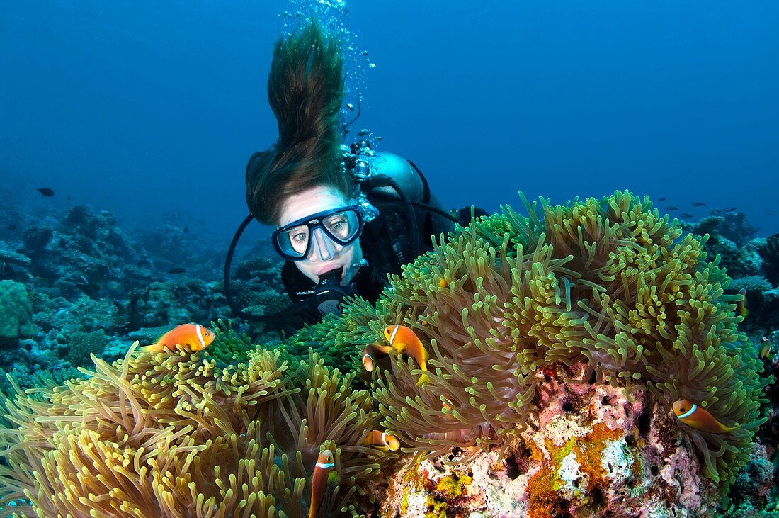 Diver exploring a reef