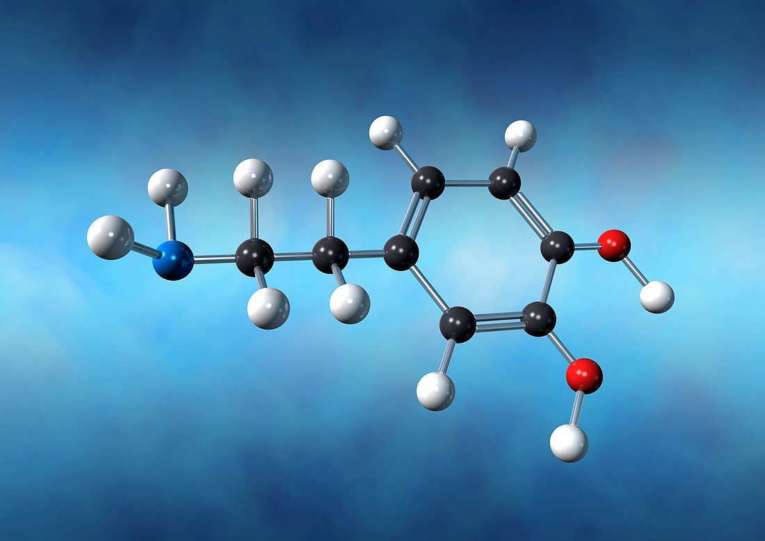 Dopamine neurotransmitter molecule