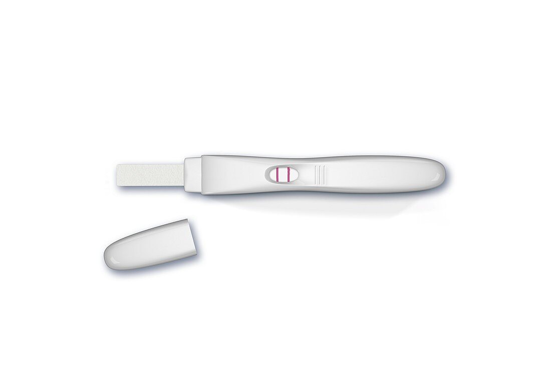 Home pregnancy test,artwork