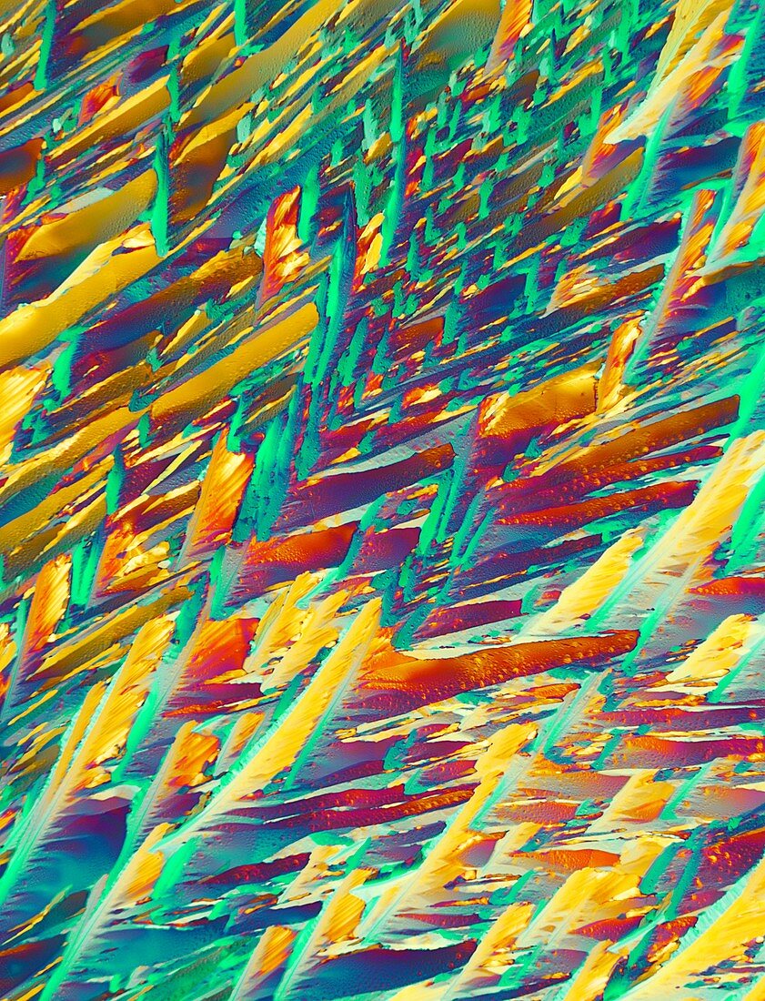 Adrenaline,polarized light micrograph