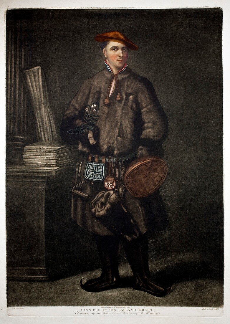 1737 Carl Linnaeus in Lapland dress HD