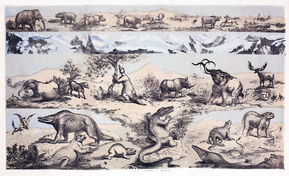 1860 Duncan's prehistoric epoch panorama
