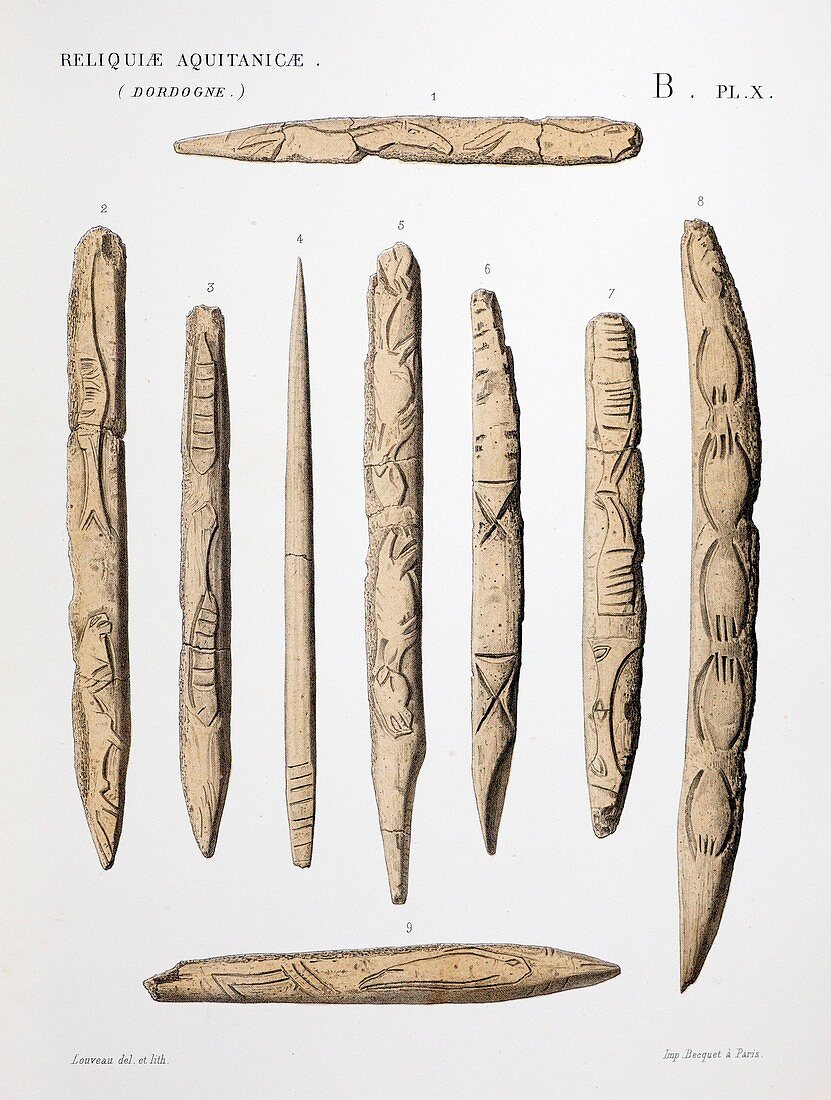 1863 Lartet Prehistoric animal carving