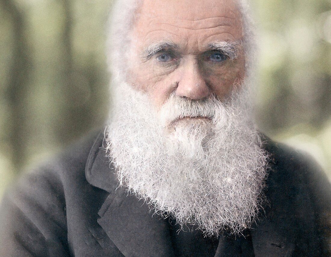 1879 Charles Darwin colour photograph