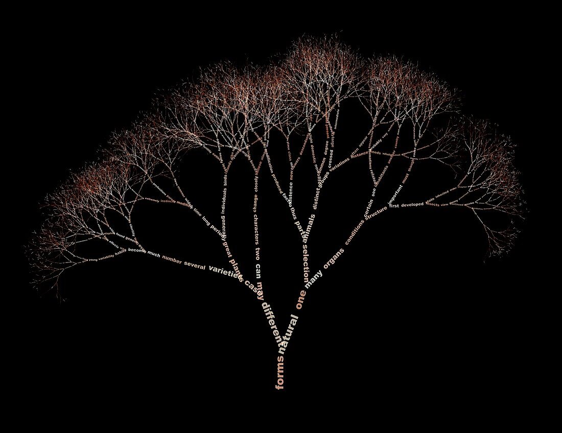 Data visualised as a tree