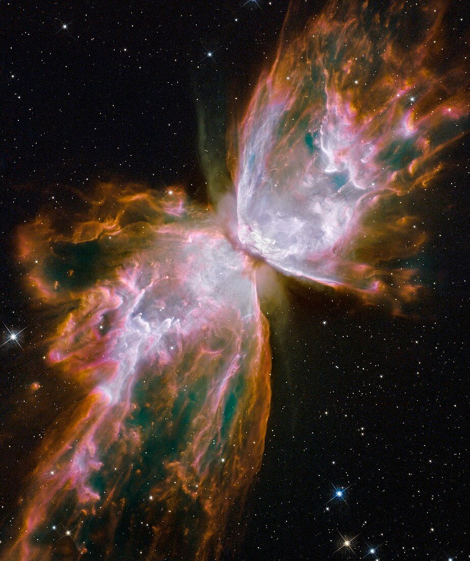 Butterfly nebula,HST image