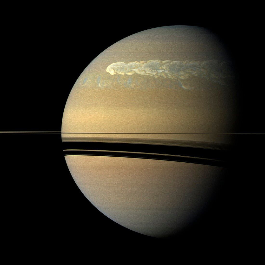 Storm on Saturn,Cassini image