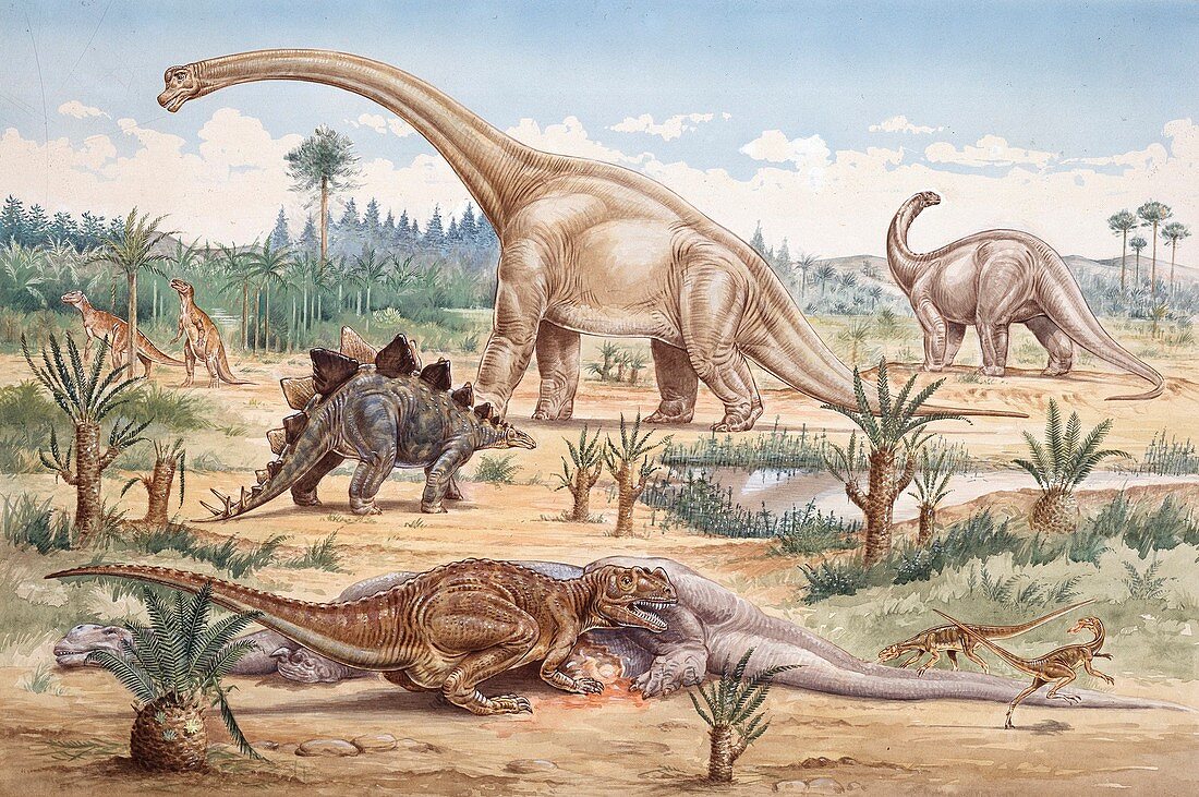 Group of Dinosaurs,artwork