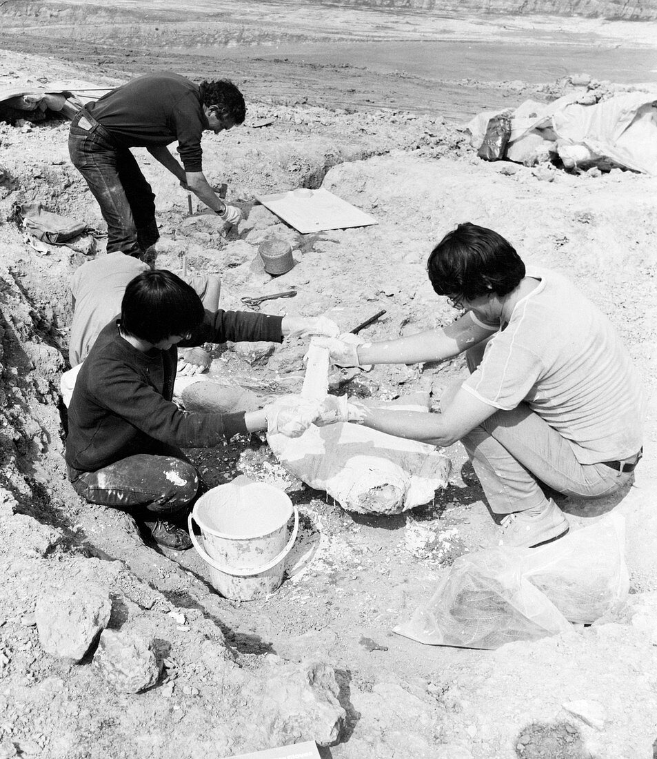 Baryonyx fossil excavation site,1983