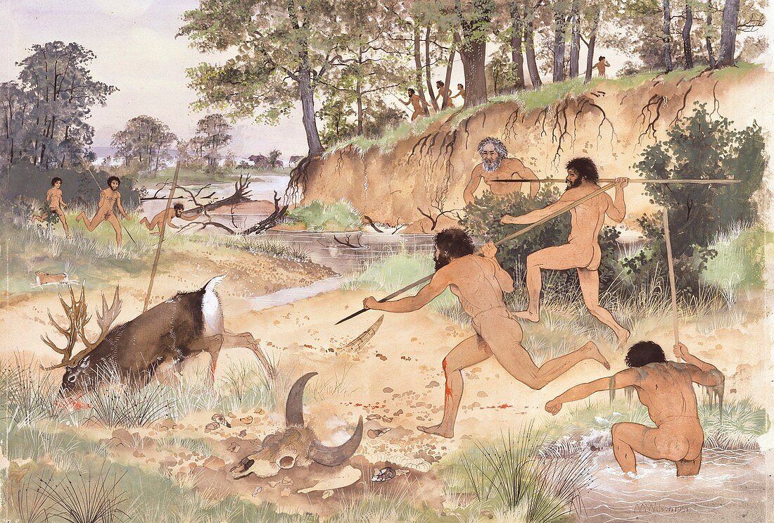 Neanderthal group hunting,artwork