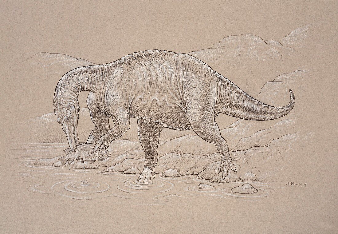 Baryonyx walkeri dinosaur,artwork