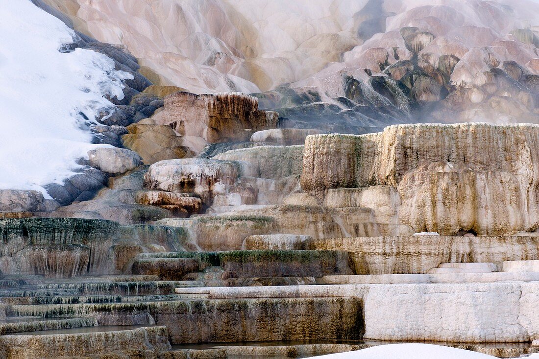 Mineral terraces,Mammoth Hot Springs