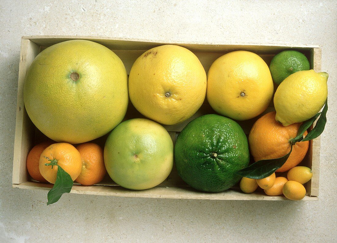 Zitrusfrüchte verschiedener Art in der Kiste