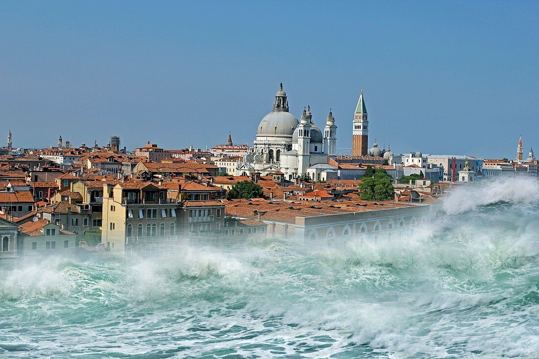 Tsunami striking Venice,montage image