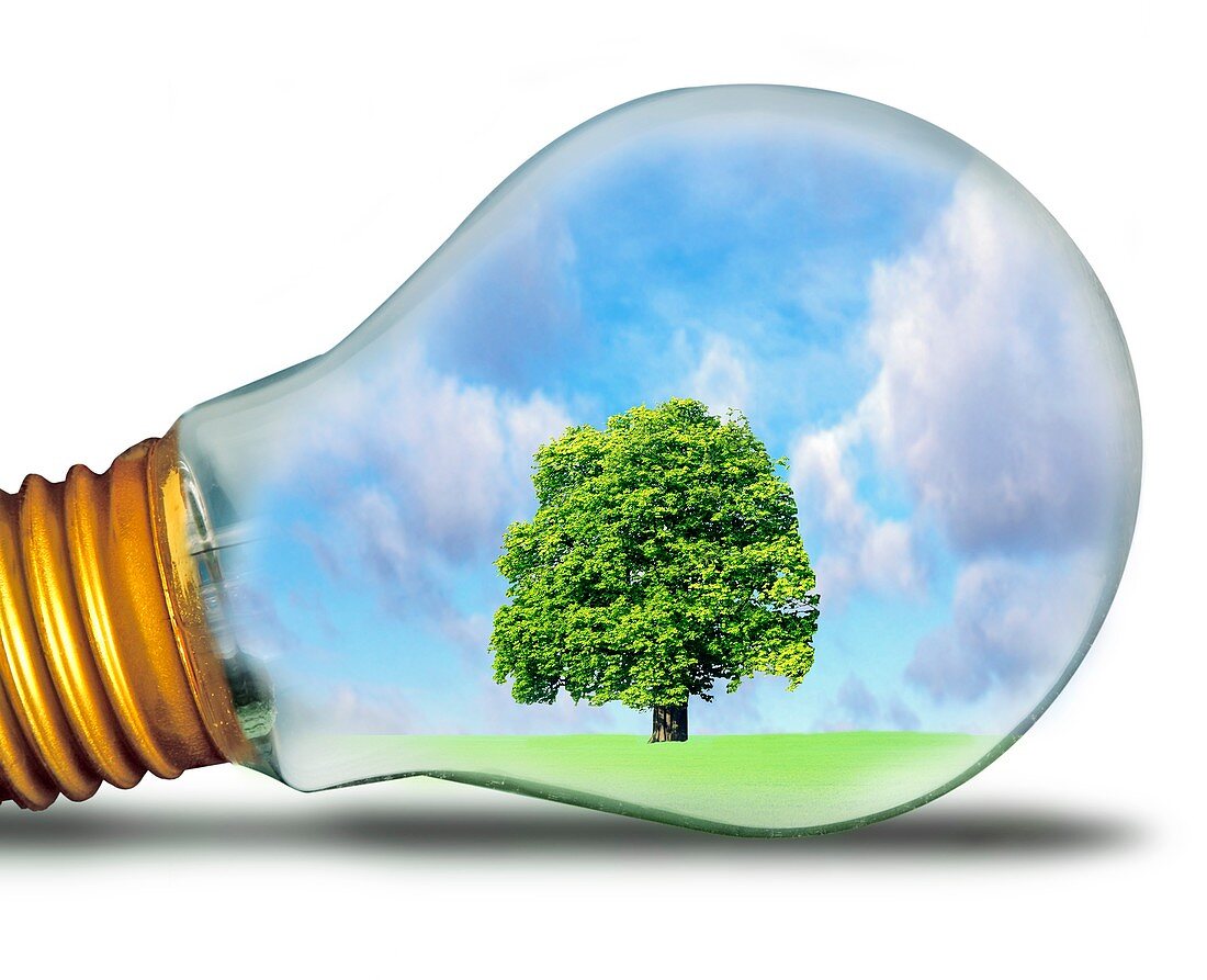 Sustainable energy,conceptual image