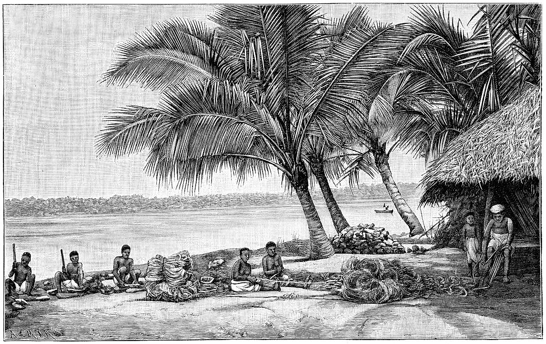Coconut rope production,19th century