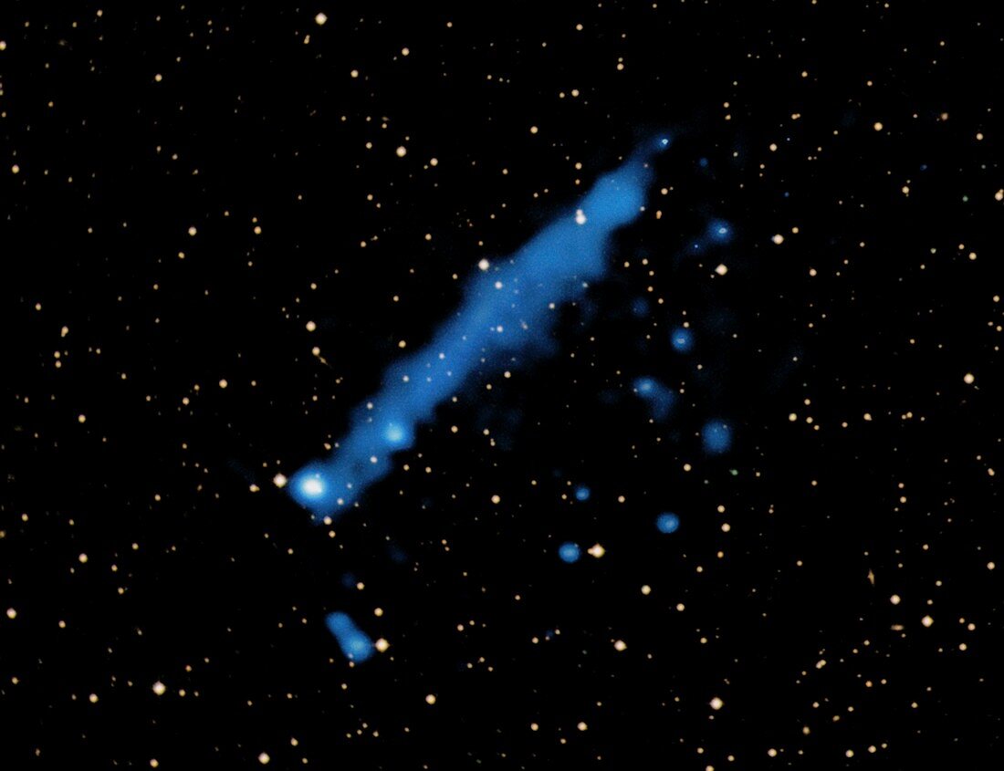 Pulsar with tail,Chandra image